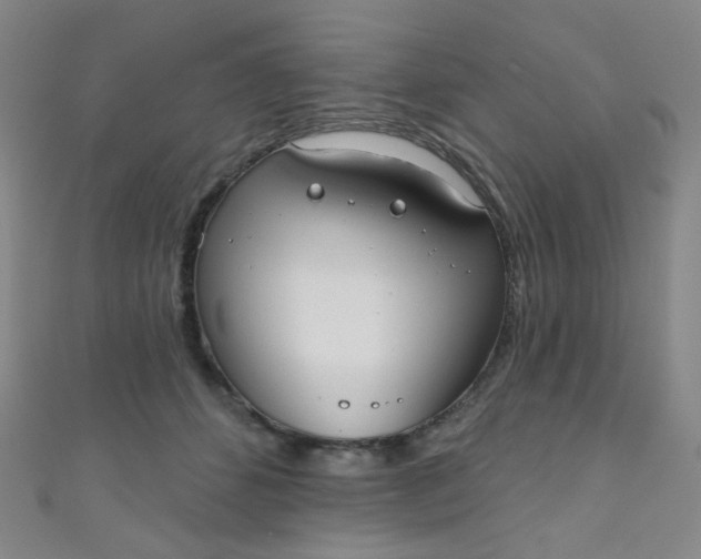 X0000110980512200907022059