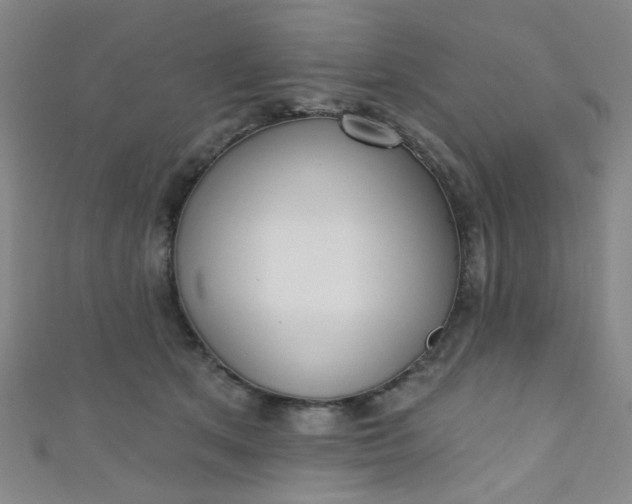 X0000110980513200907022059