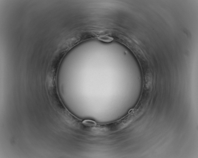 X0000110980515200907022058