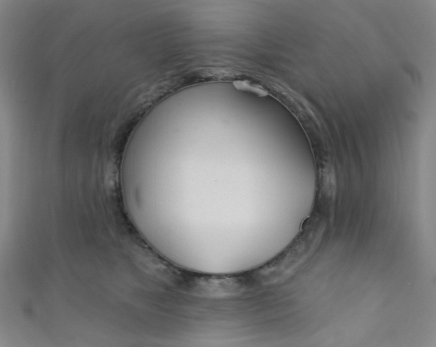 X0000110980517200907022058