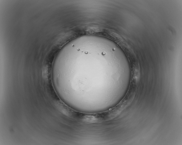 X0000110980519200907022058