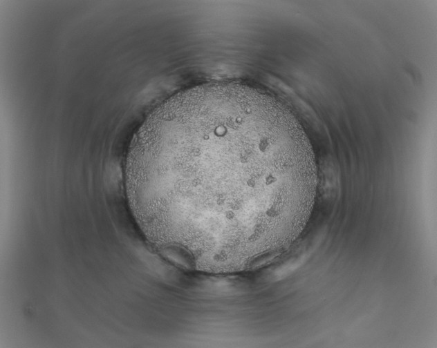 X0000110980523200907022058