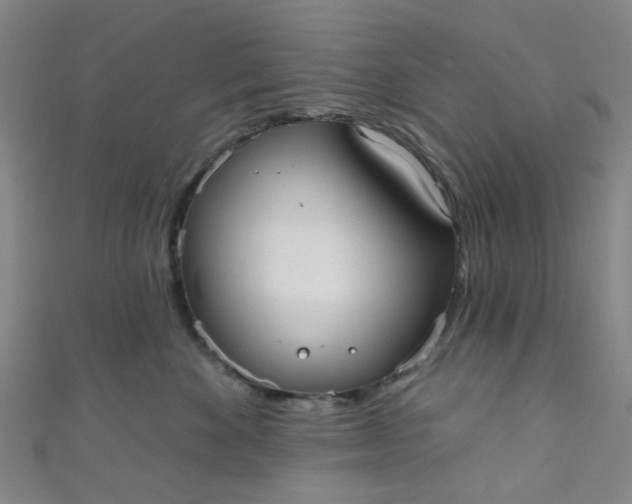 X0000110980524200907022058