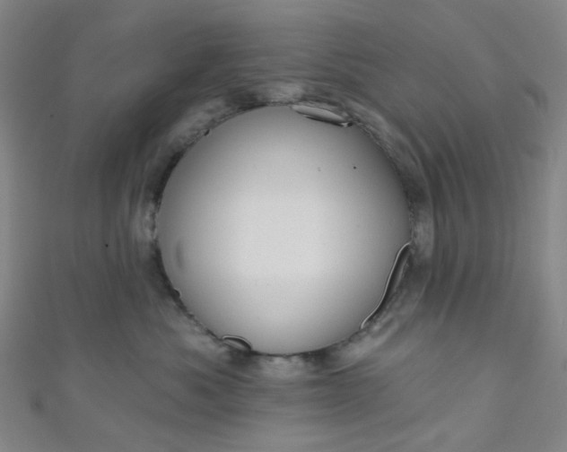 X0000110980525200907022058