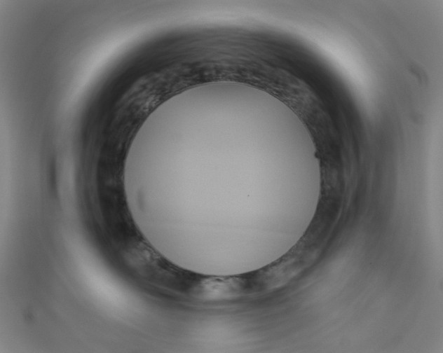 X0000110980526200907022058