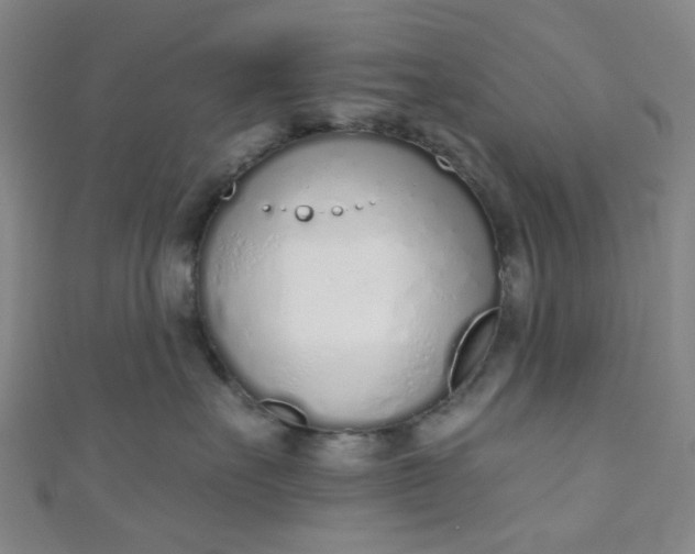 X0000110980527200907022058