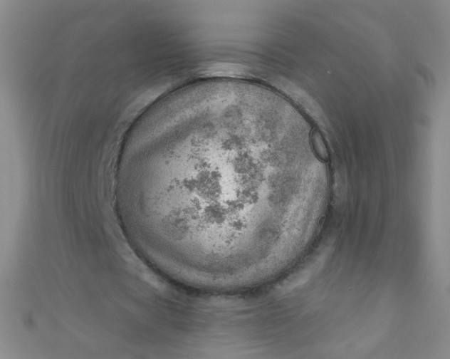 X0000110980529200907022058