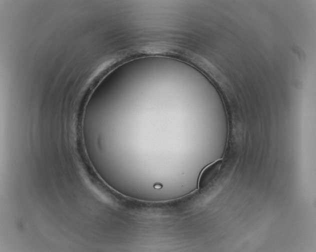 X0000110980530200907022058