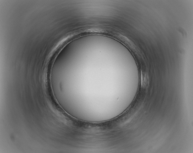 X0000110980531200907022058