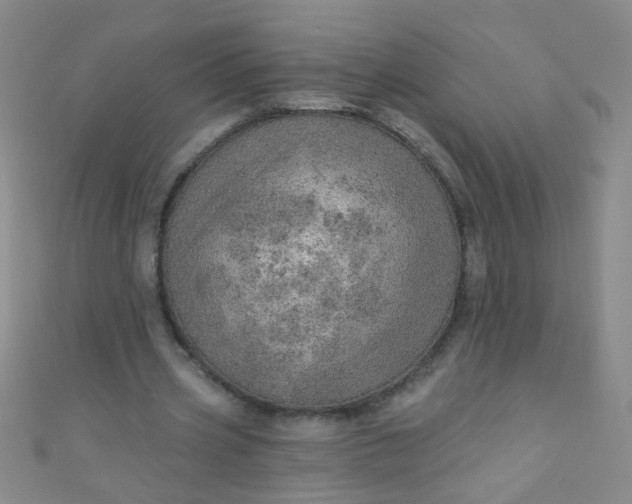 X0000110980533200907022058