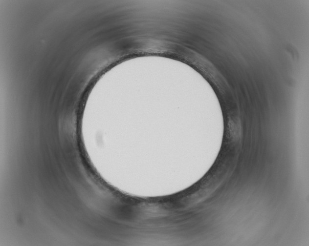 X0000110980534200907022058