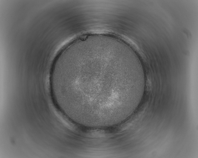 X0000110980535200907022058