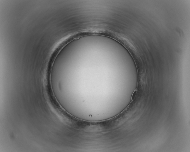 X0000110980536200907022058