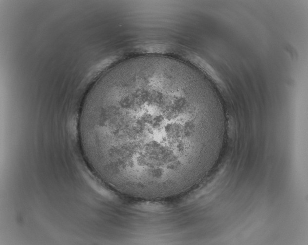 X0000110980537200907022058