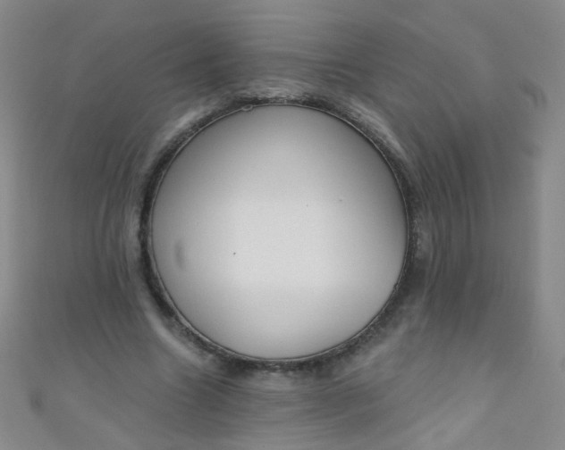 X0000110980538200907022058