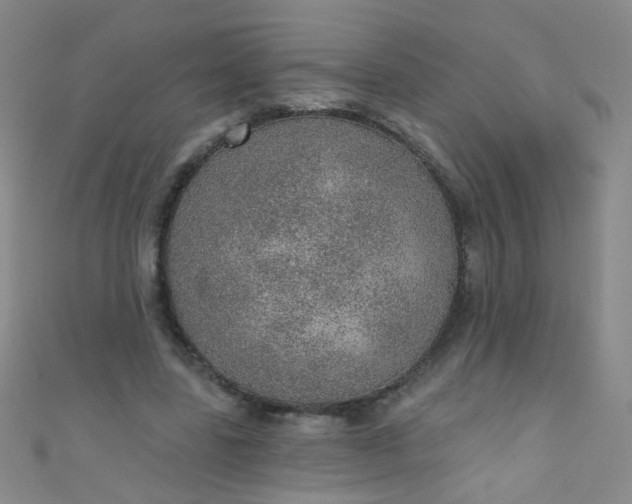 X0000110980539200907022058