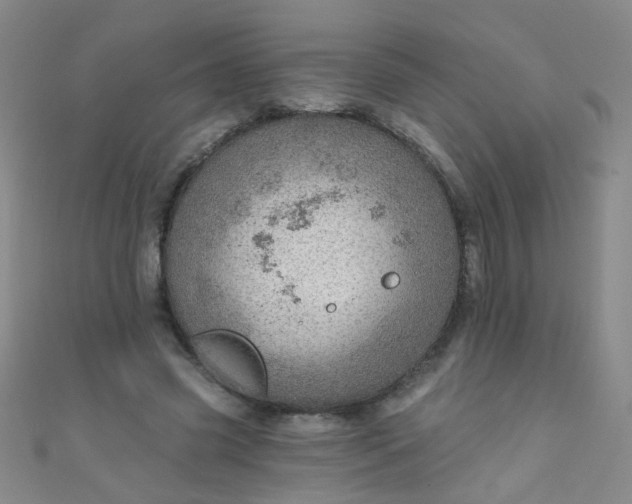 X0000110980541200907022058