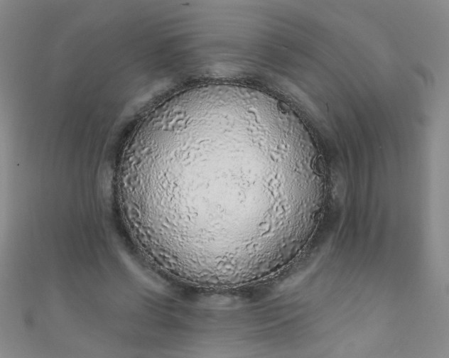 X0000110980542200907022058