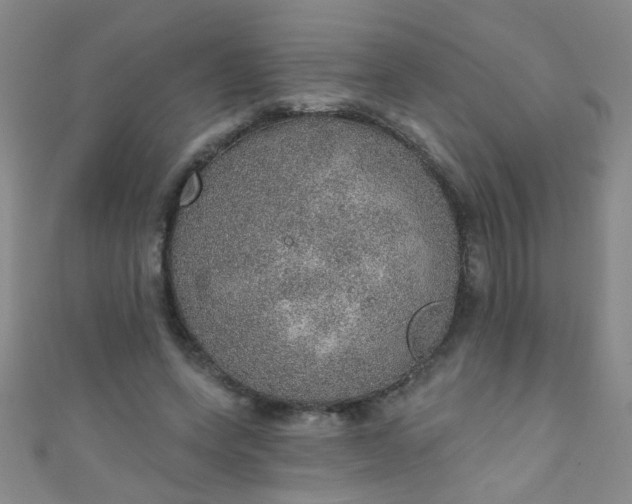 X0000110980543200907022058