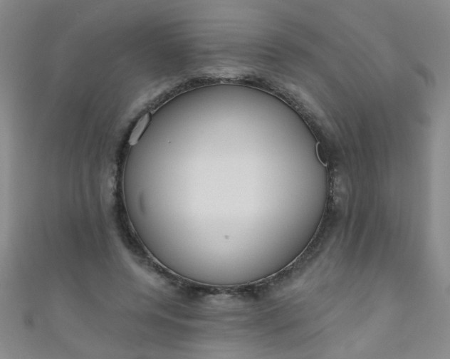 X0000110980544200907022058