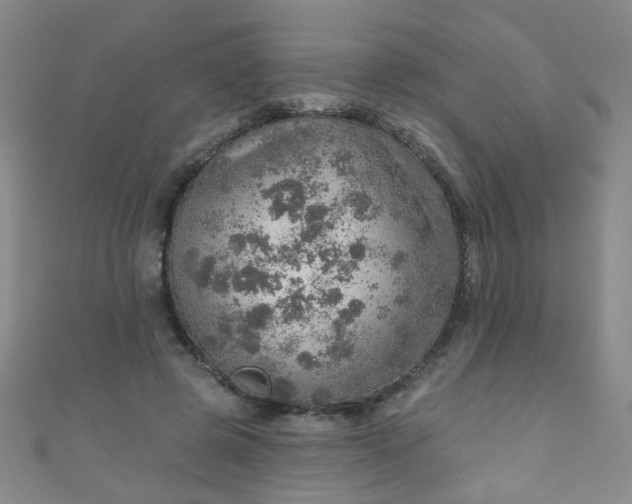 X0000110980545200907022058