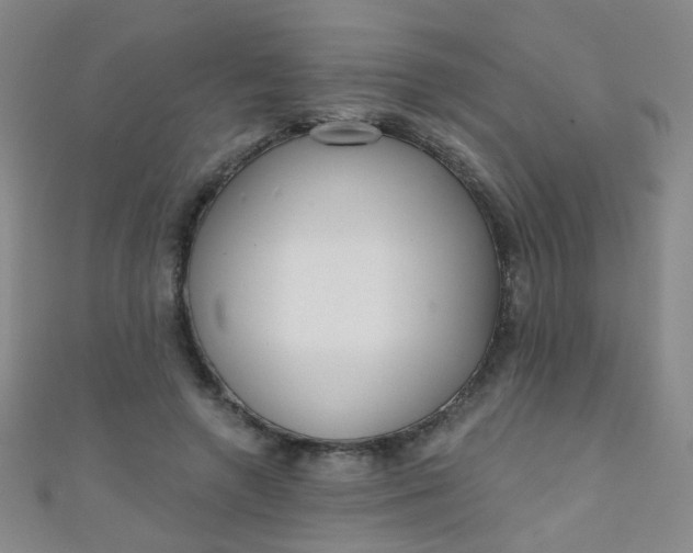 X0000110980546200907022058