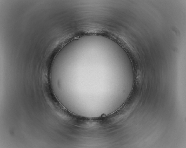 X0000110980547200907022058