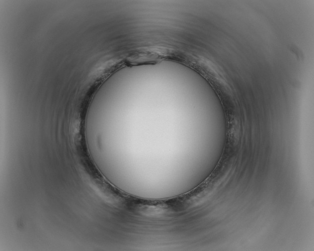 X0000110980548200907022058