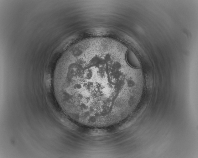 X0000110980549200907022058