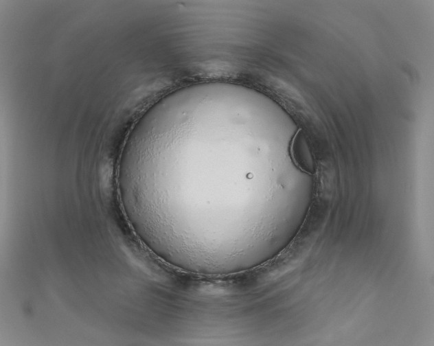 X0000110980550200907022058