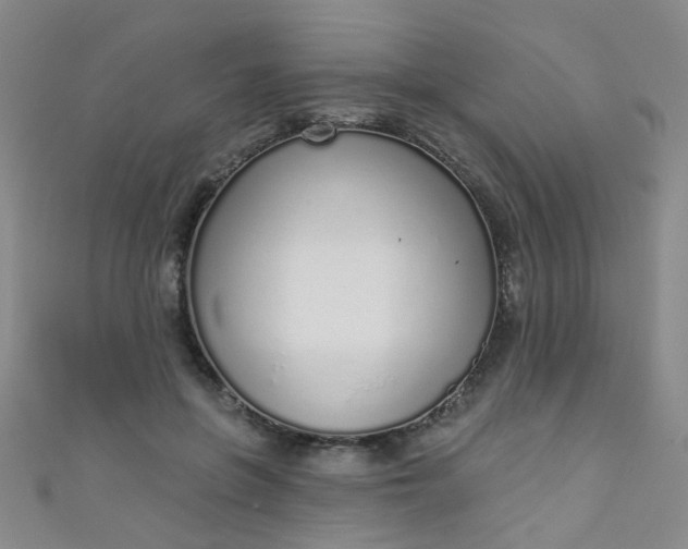 X0000110980551200907022058