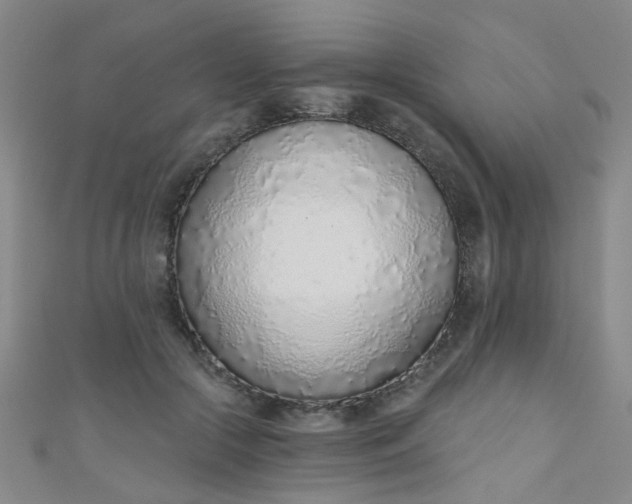 X0000110980553200907022058