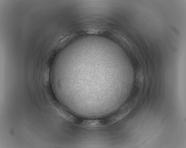 X0000110980554200907022058