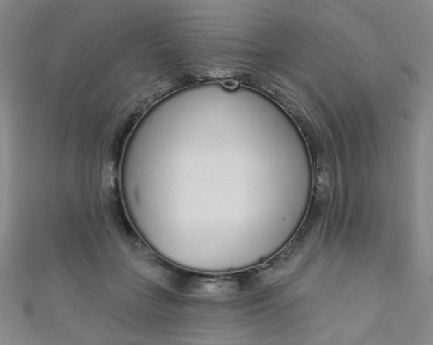 X0000110980555200907022058