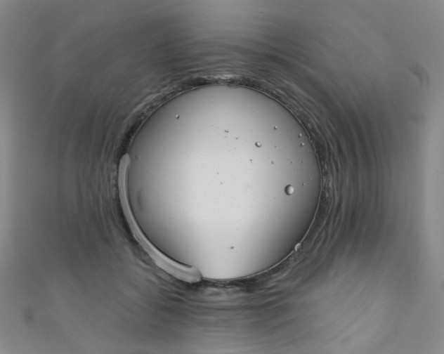 X0000110980556200907022058