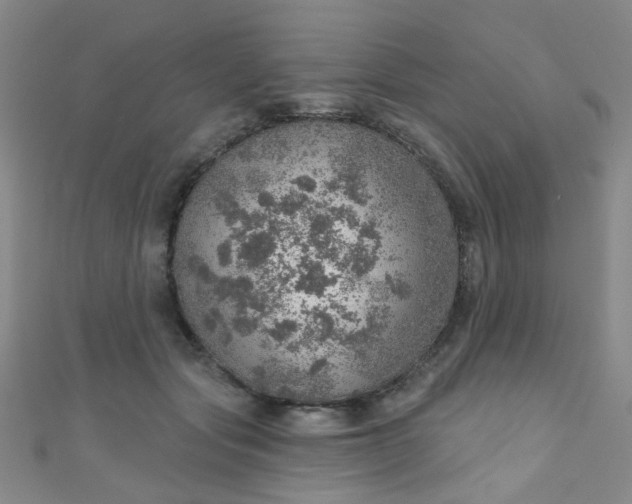 X0000110980557200907022058