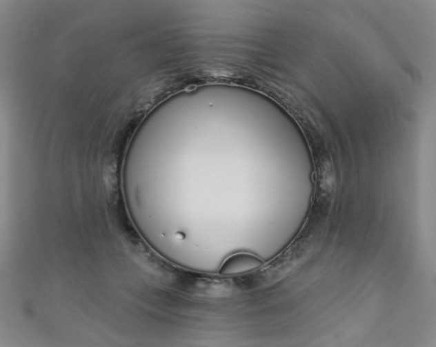 X0000110980559200907022058