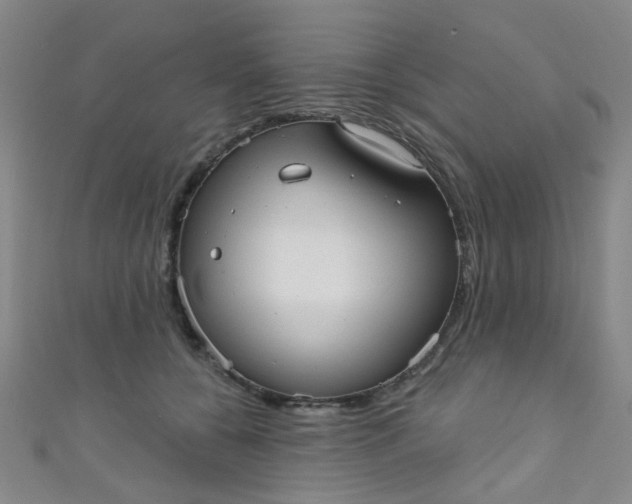 X0000110980560200907022058