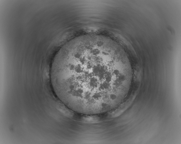 X0000110980561200907022058