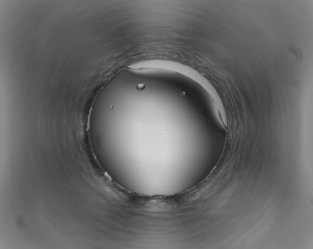 X0000110980562200907022058