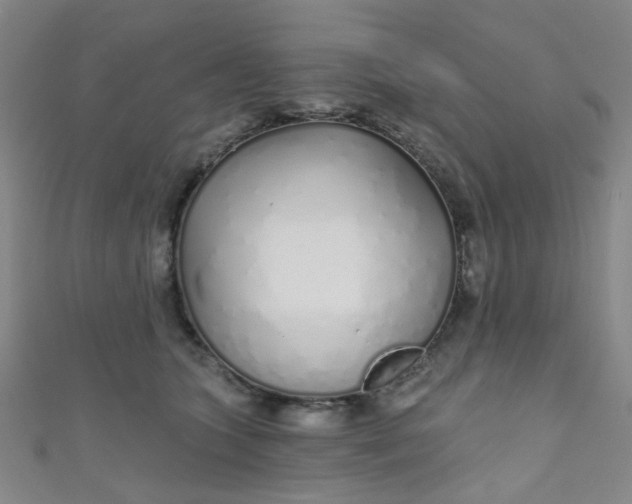 X0000110980563200907022058