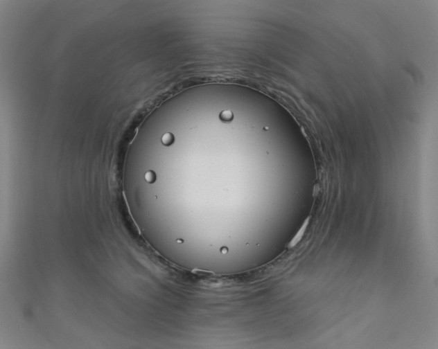 X0000110980564200907022058