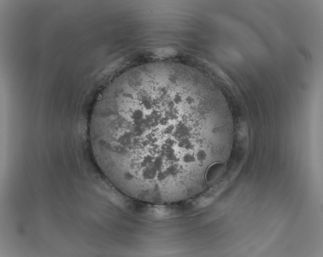 X0000110980565200907022058