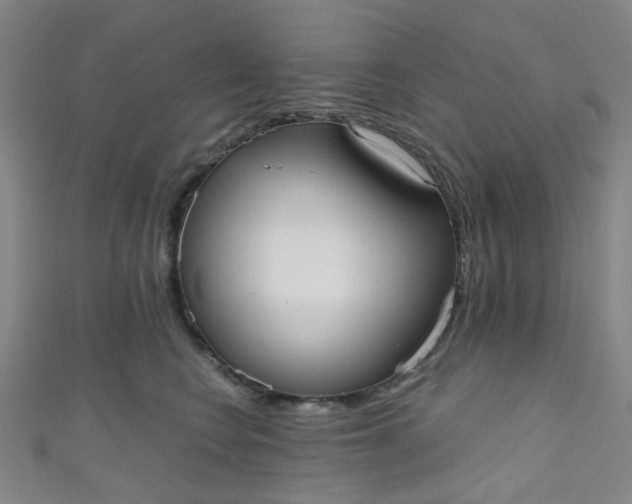 X0000110980566200907022058