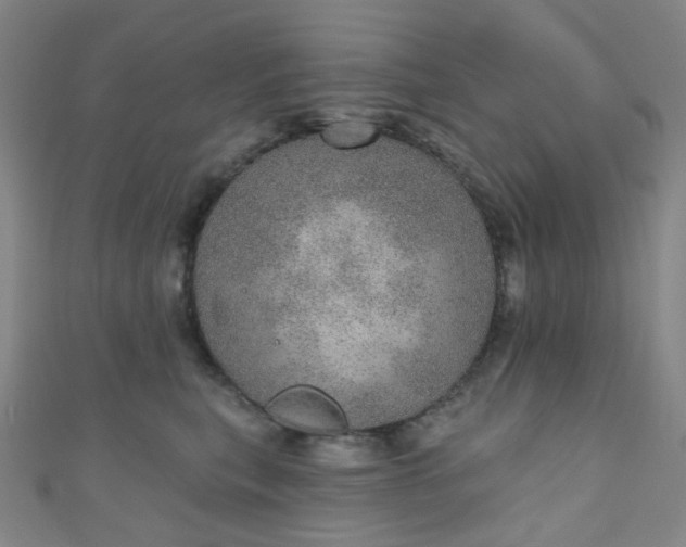 X0000110980567200907022058