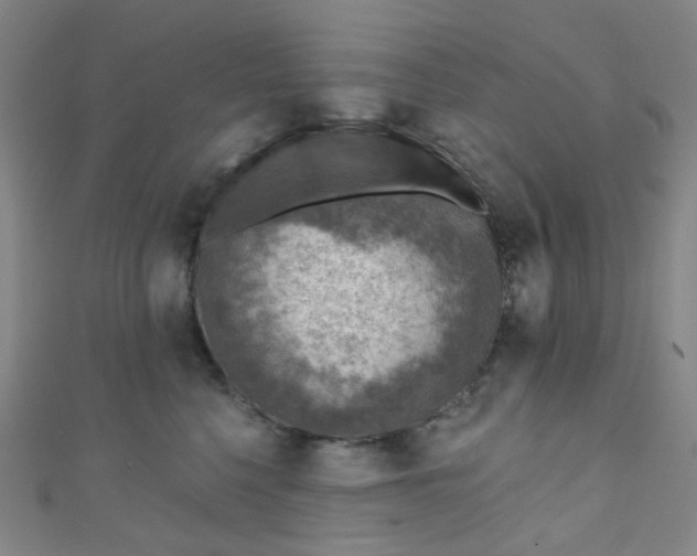 X0000110980568200907022058