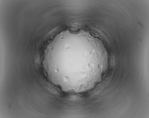 X0000110980569200907022058