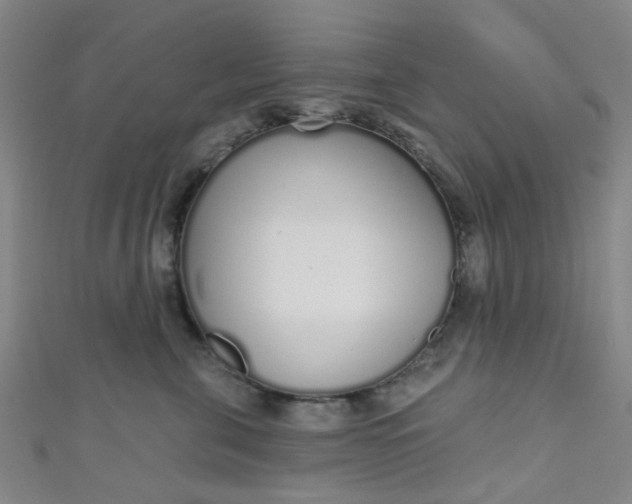 X0000110980571200907022058