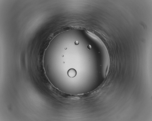 X0000110980572200907022058