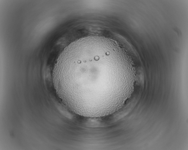 X0000110980573200907022058